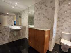 The Colonnade (D10), Condominium #439780901